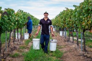 GoldenGroveImage_2 Ray Constanzo Winemaker