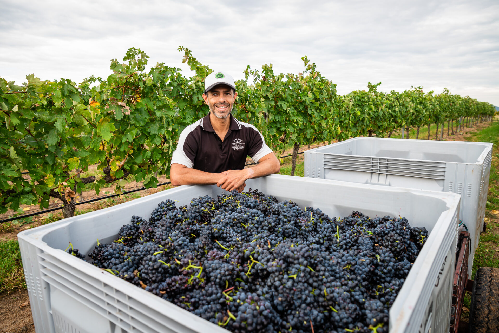 Supplier Spotlight Savouring Stanthorpe's Sensational Wines