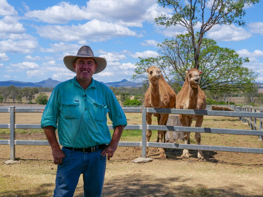 Owner of Summer Land Camels, Paul Martin pictured with two camels.
