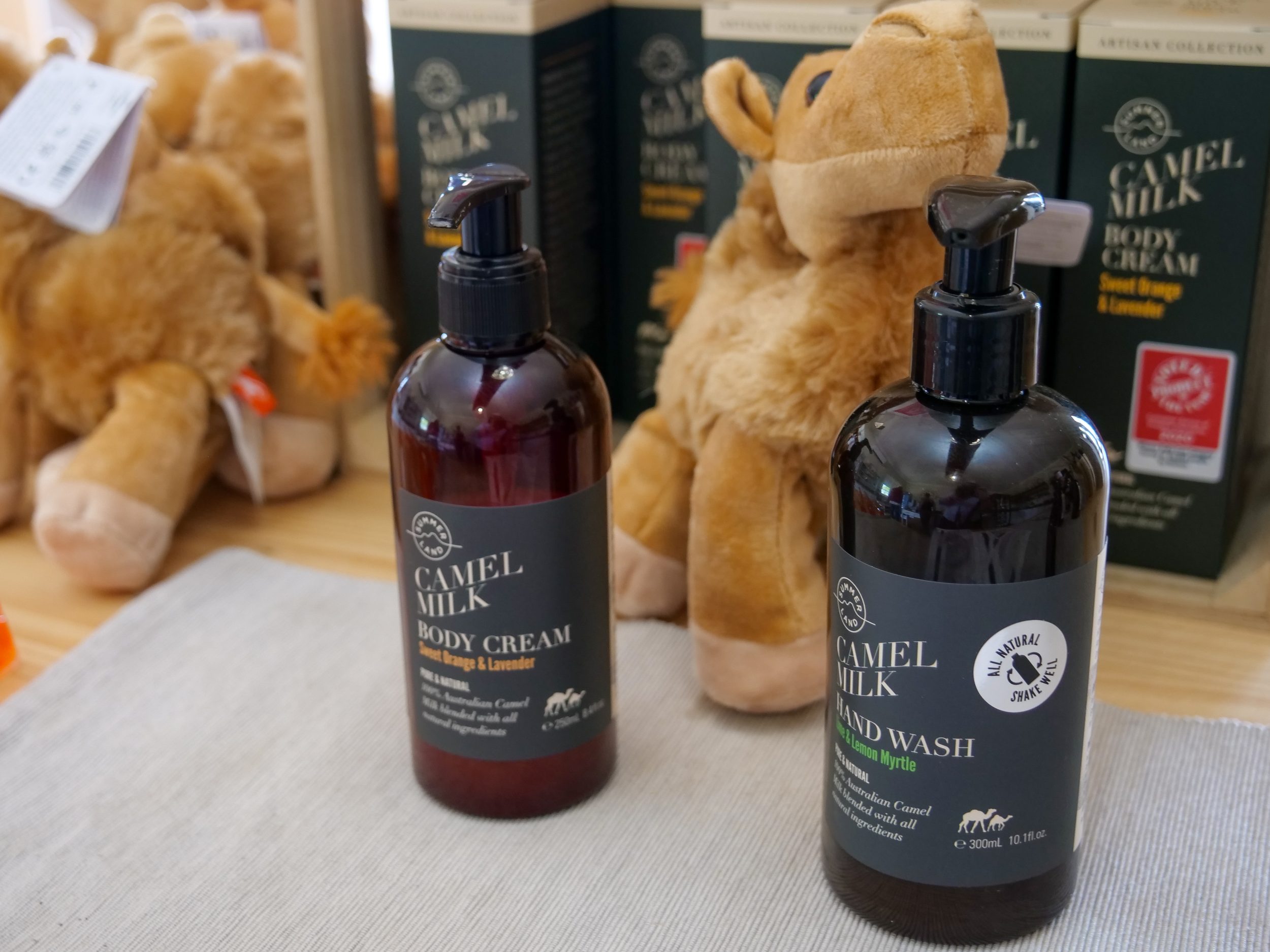 Camel adventures deliver premium products to Queensland Parliament