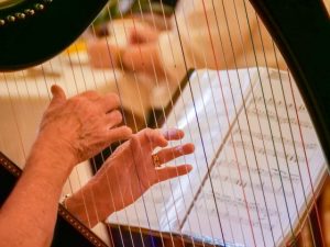 Ekka High Tea 2023 560 x 420px5