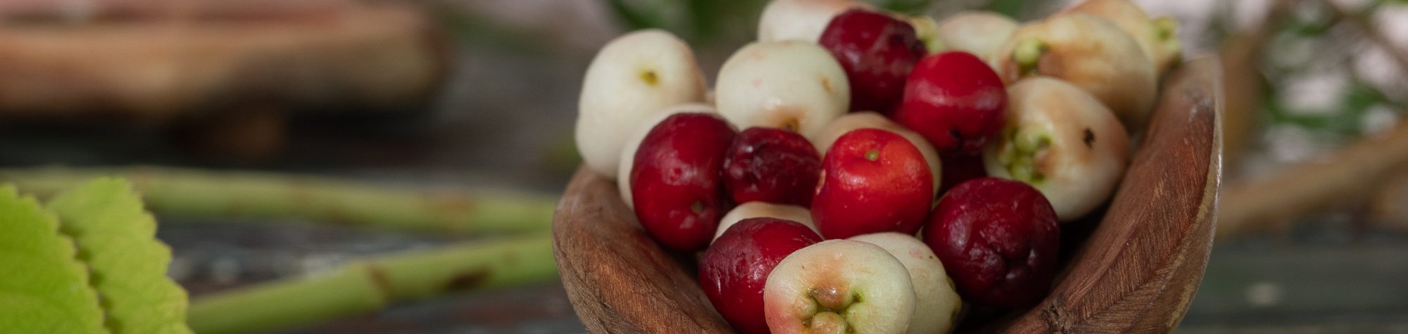 Discovering First Nations Cuisine with Murri Tukka